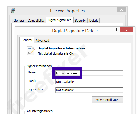 Screenshot of the US Waves inc certificate